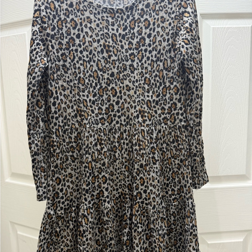 Zara Leopard Print Long Sleeve Dress
